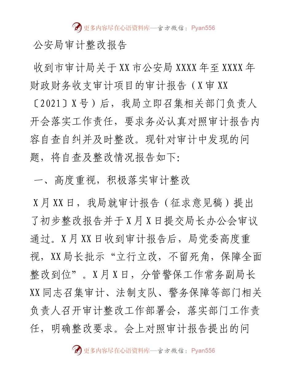 公安局审计整改报告.docx_第1页