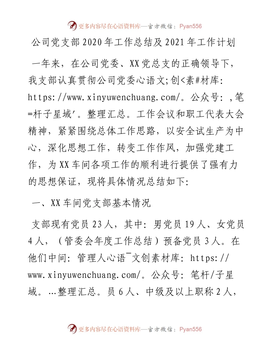 公司党支部工作总结及工作计划.docx_第1页