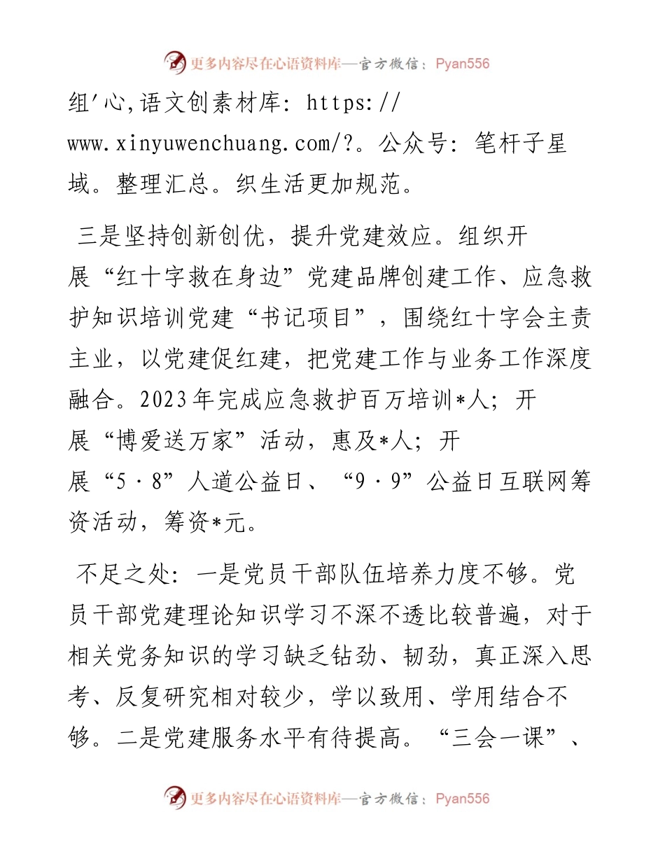 区红十字会党支部抓基层党建述职报告.docx_第2页