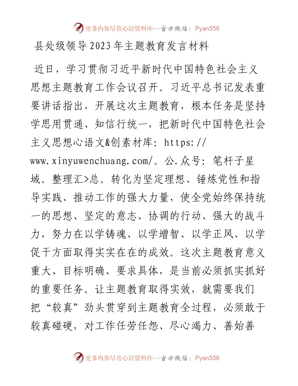县处级领导2023年主题教育发言材料.docx_第1页
