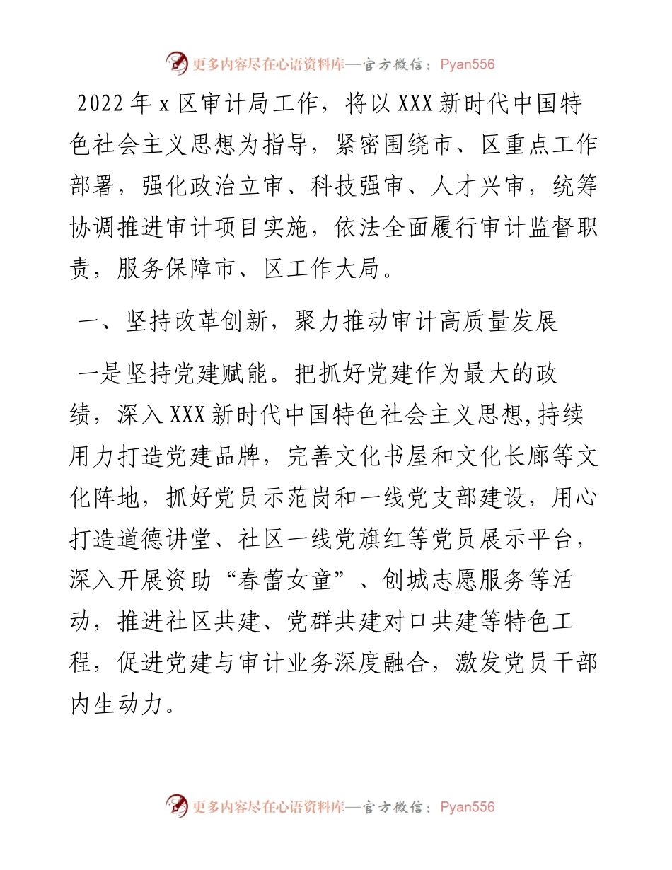 区审计局工作计划.docx_第1页