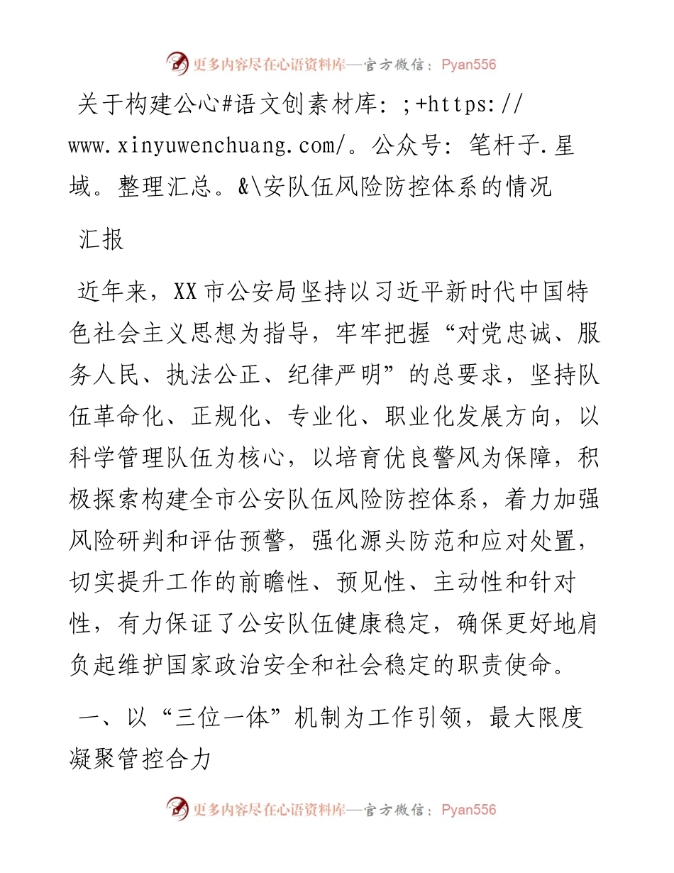 关于构建公安队伍风险防控体系的情况汇报.docx_第1页