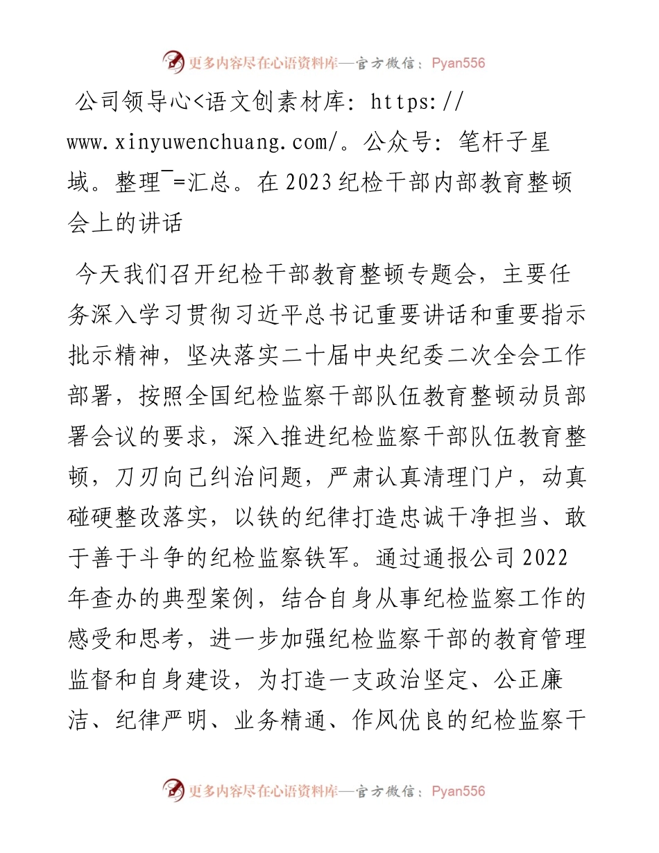 公司领导在2023纪检干部内部教育整顿会上的讲话.docx_第1页