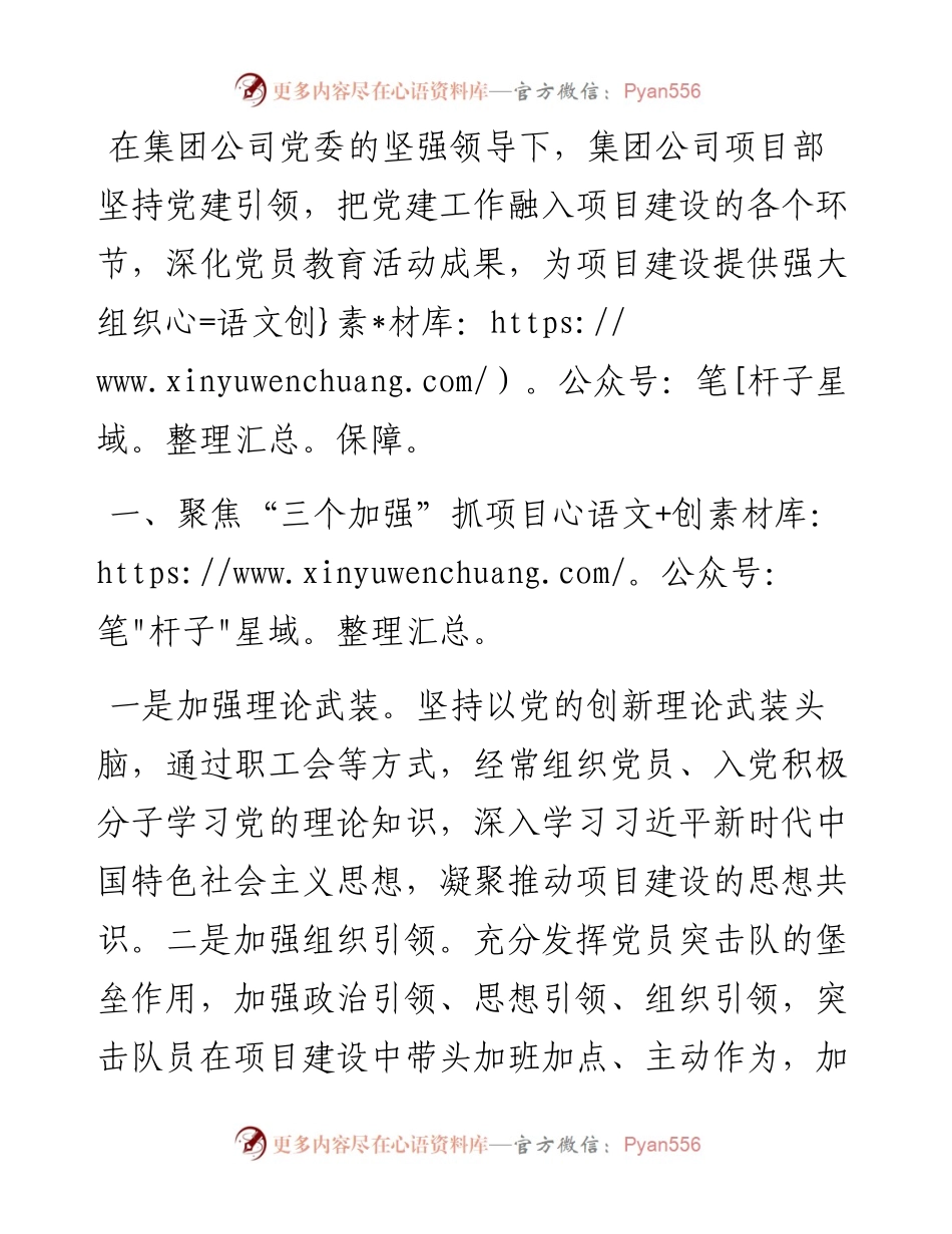 公司坚持党建引领抓项目建设发言材料.docx_第1页