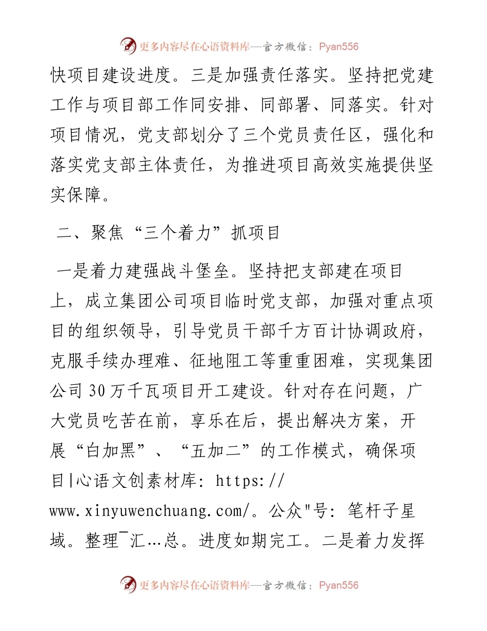 公司坚持党建引领抓项目建设发言材料.docx_第2页