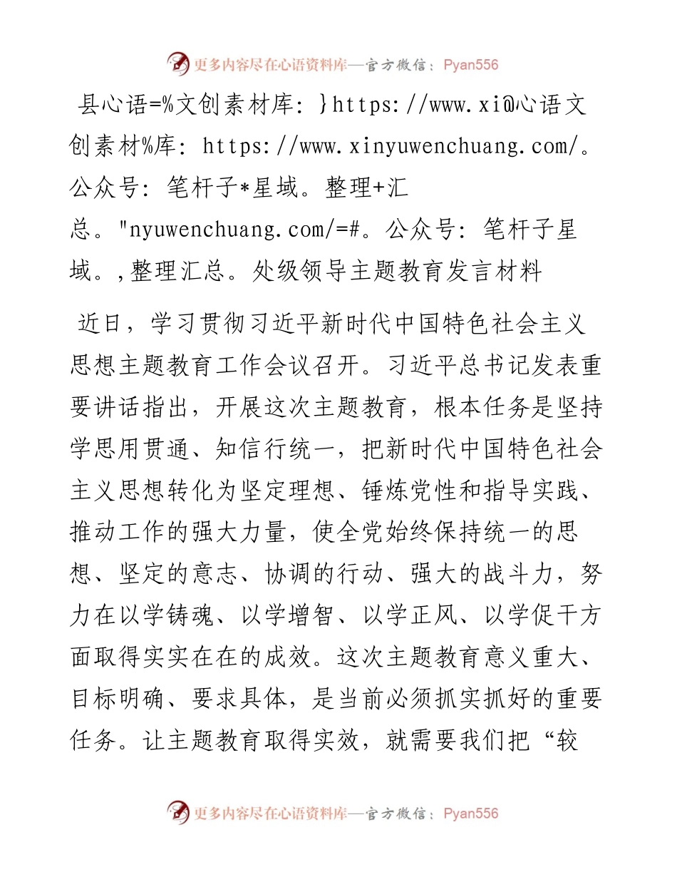 县处级领导主题教育发言.docx_第1页