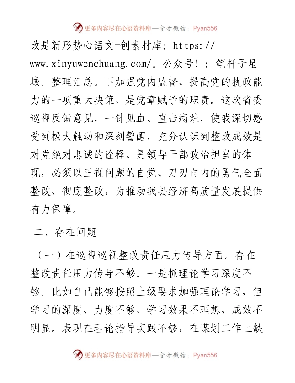 副县长巡视整改专题民主生活会对照检查发言.docx_第2页