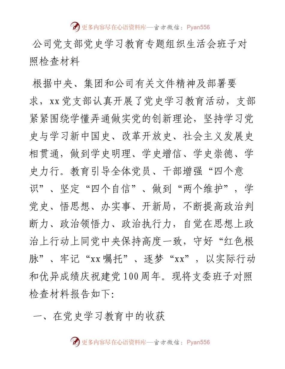 公司党支部党史学习教育专题组织生活会班子对照检查材料.docx_第1页