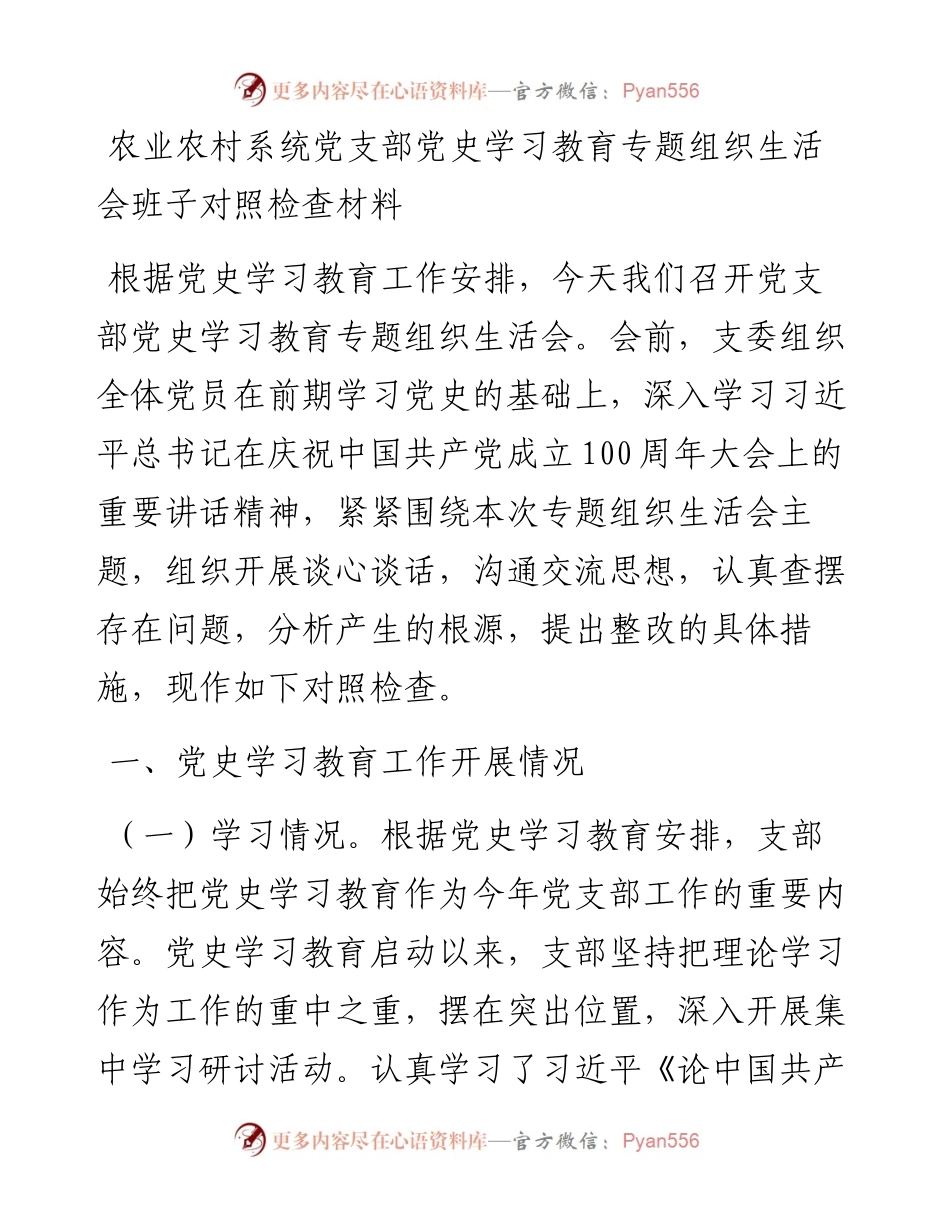 农业农村系统党支部党史学习教育专题组织生活会班子对照检查材料.docx_第1页