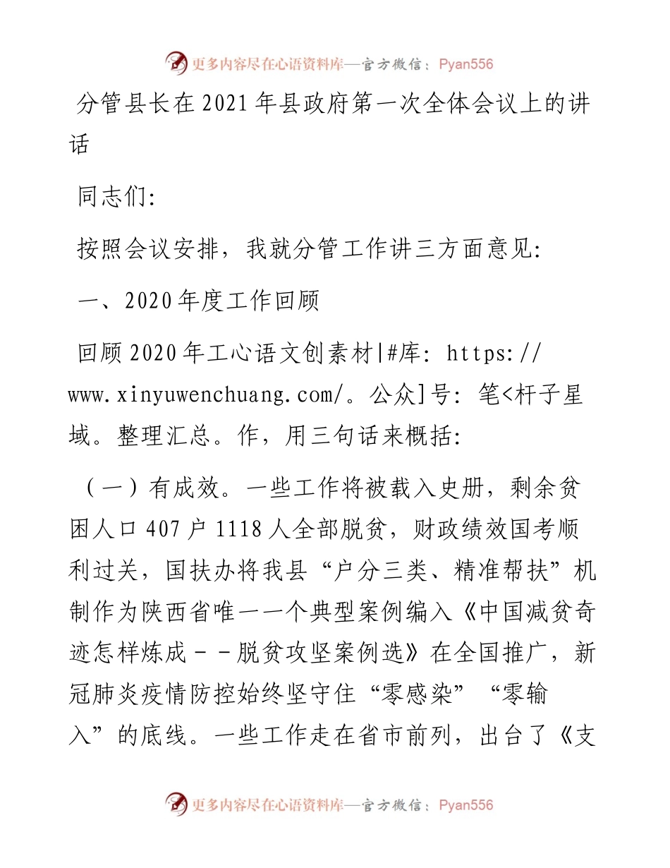 分管县长在县政府第一次全体会议上的讲话.docx_第1页