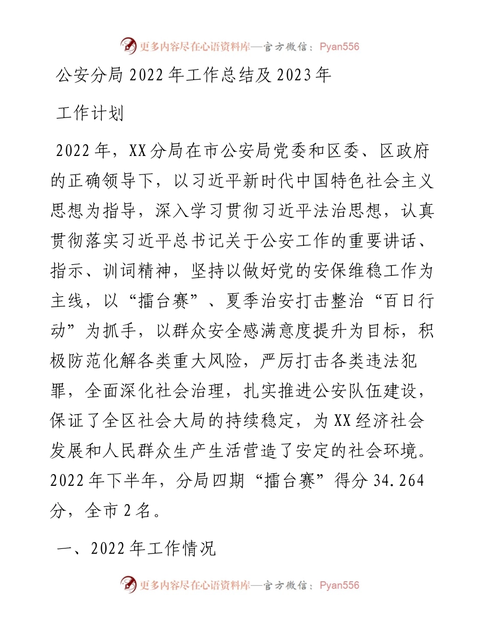 公安分局工作总结及2023年工作计划.docx_第1页