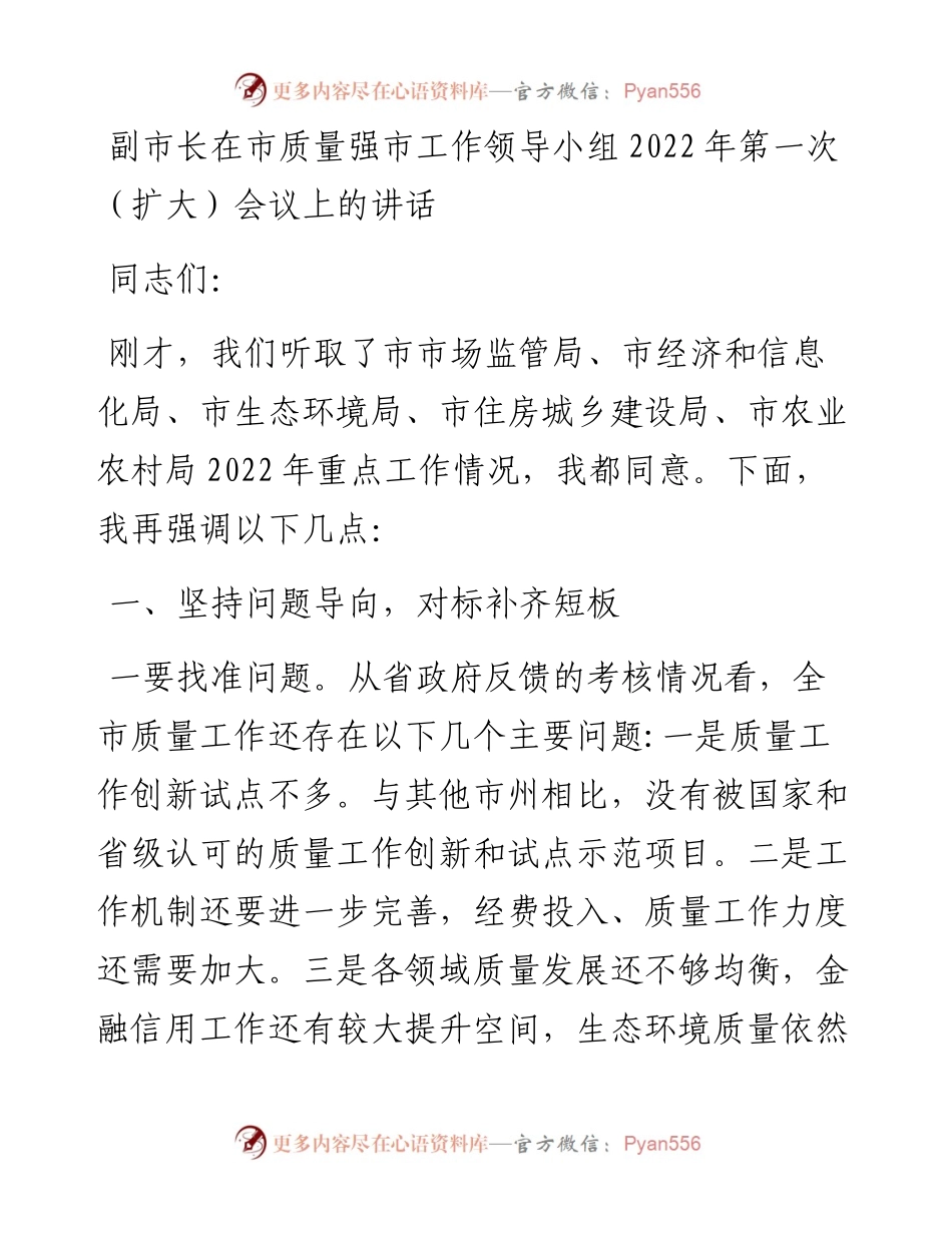 副市长在市质量强市工作领导小组第一次（扩大）会议上的讲话.docx_第1页