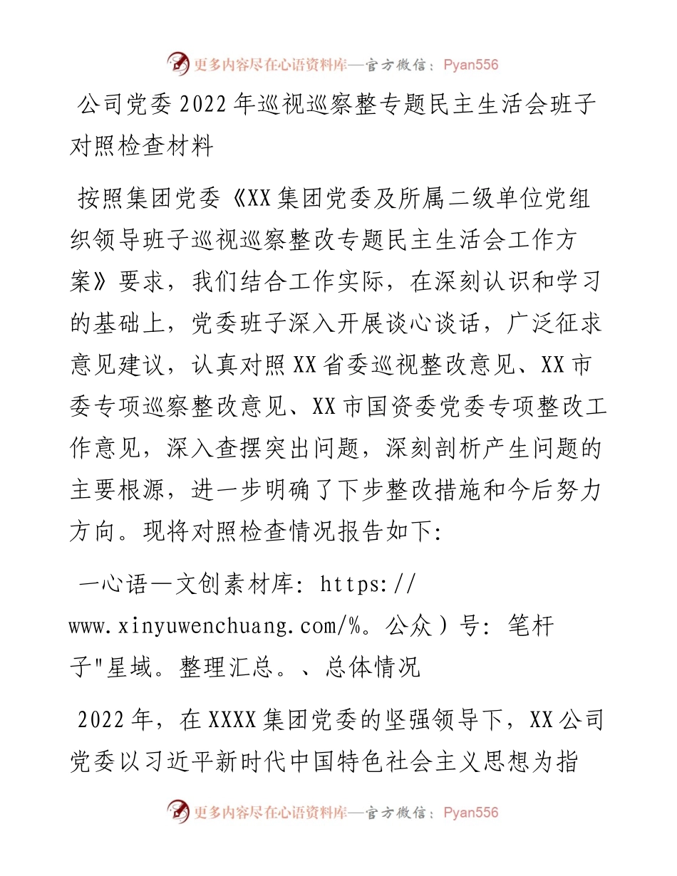 公司党委巡视巡察整专题民主生活会班子对照检查材料.docx_第1页