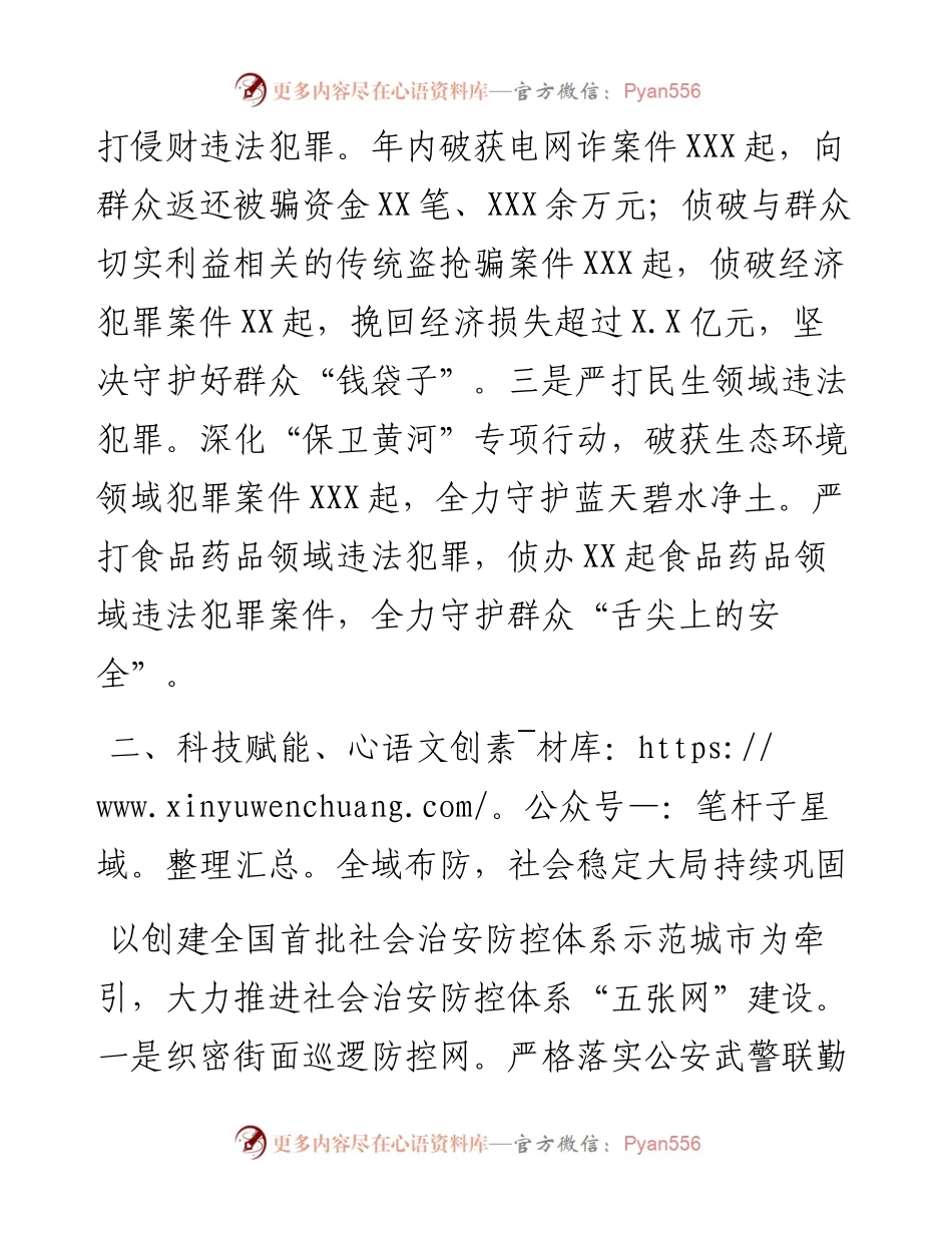 公安局工作总结.docx_第2页