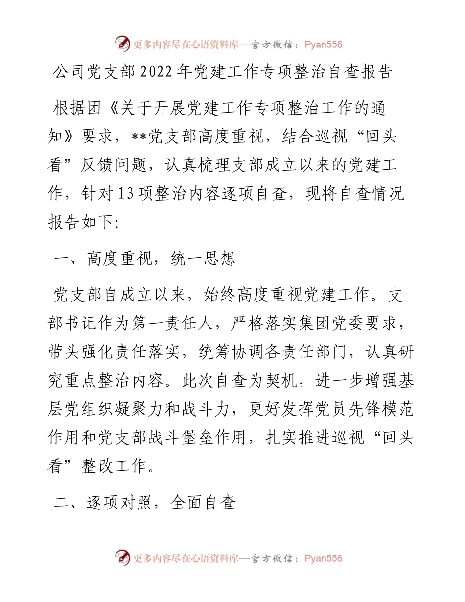 公司党支部党建工作专项整治自查报告.docx_第1页