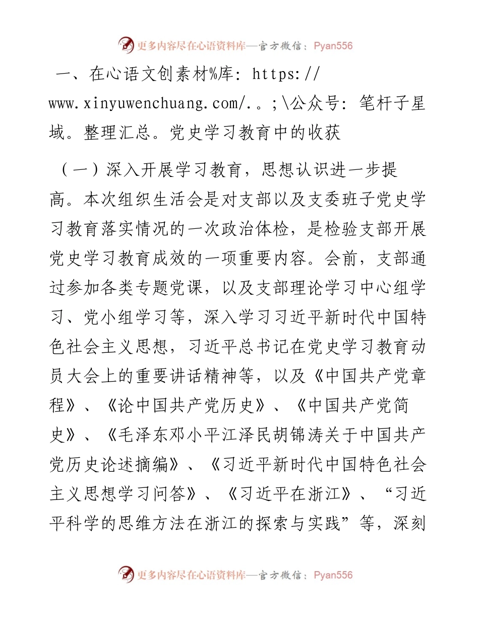 公司党支部党史学习教育专题组织生活会支委班子对照检查材料.docx_第2页