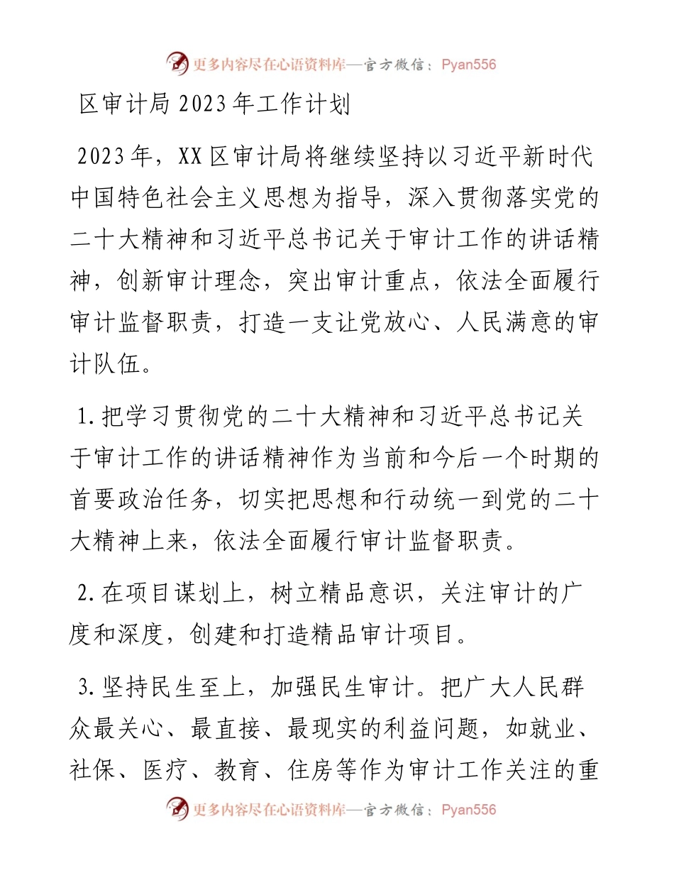 区审计局2023年工作计划.docx_第1页