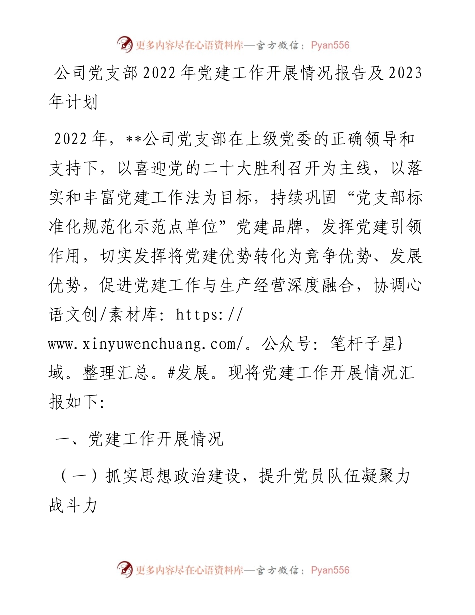 公司党支部党建工作开展情况报告及2023年计划.docx_第1页