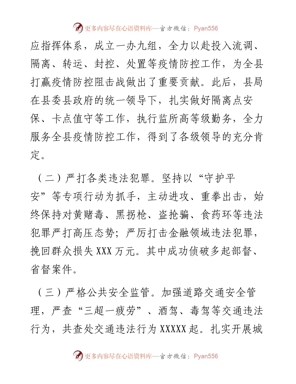 县公安局上半年工作总结和下半年工作安排.docx_第2页