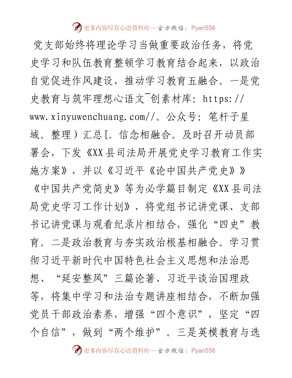 县司法局党支部202X年党建工作总结.docx_第2页