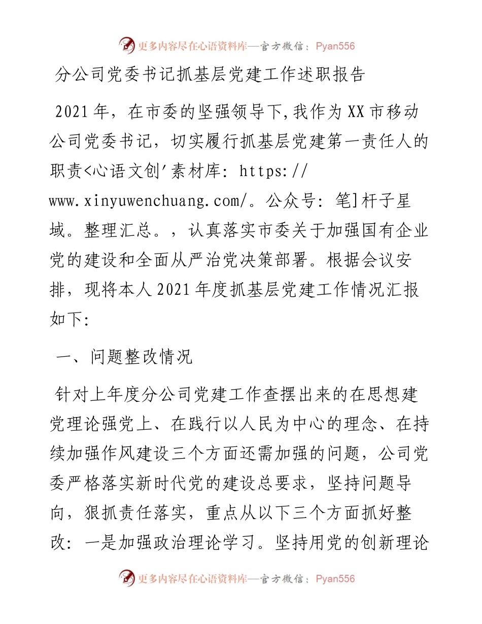 分公司党委书记抓基层党建工作述职报告.docx_第1页