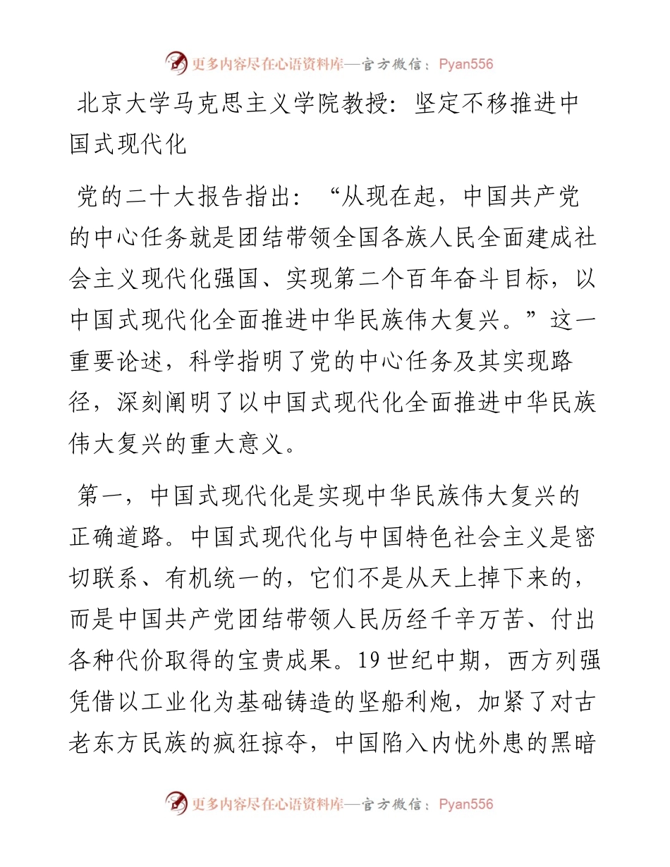 北京大学马克思主义学院教授：坚定不移推进中国式现代化（1209）.docx_第1页