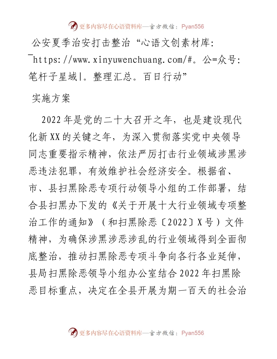 公安夏季治安打击整治“百日行动”实施方案.docx_第1页