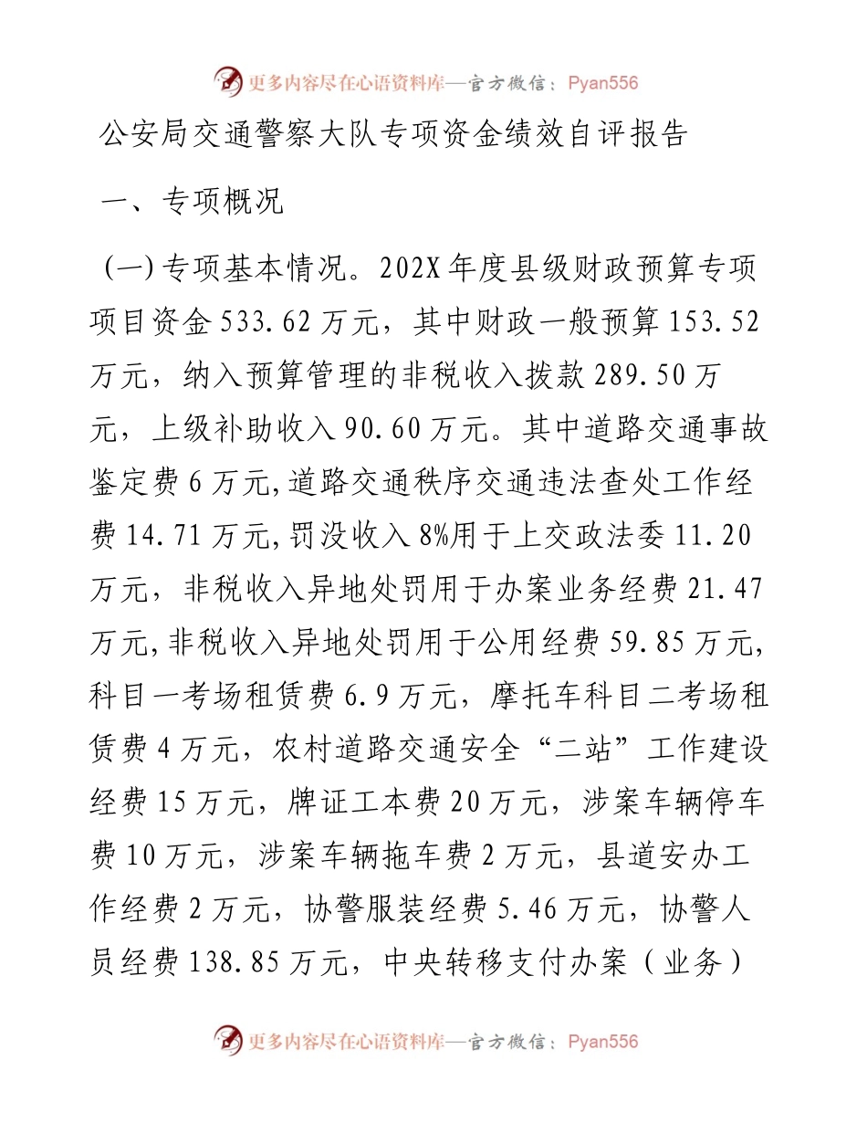 公安局交通警察大队专项资金绩效自评报告.docx_第1页