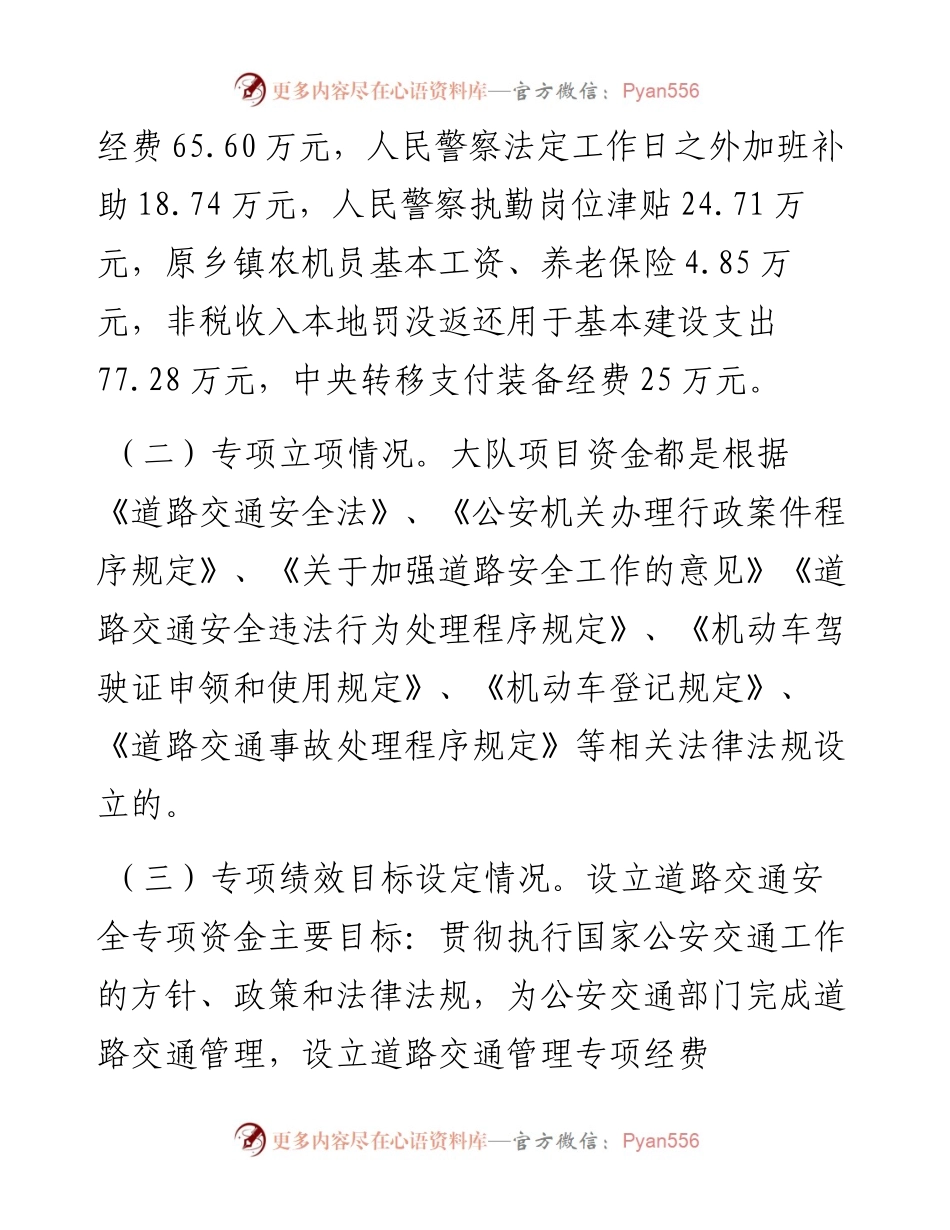 公安局交通警察大队专项资金绩效自评报告.docx_第2页