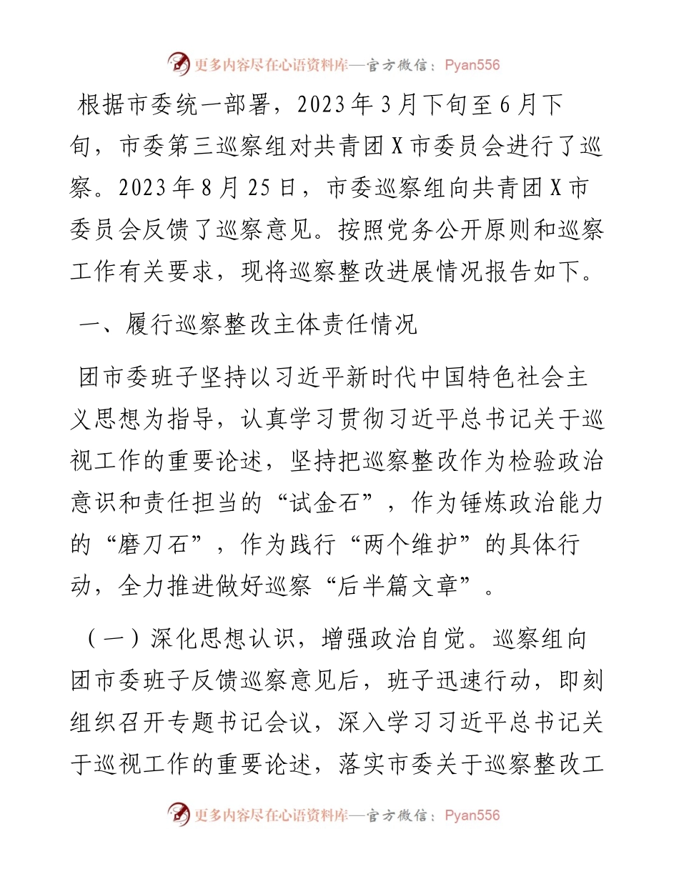 共青团市委员会关于巡察整改进展情况的报告.docx_第1页