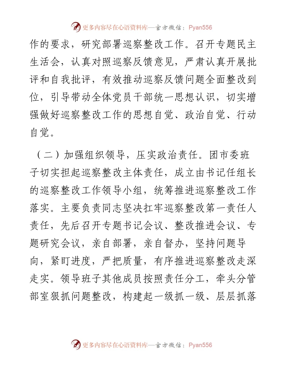 共青团市委员会关于巡察整改进展情况的报告.docx_第2页