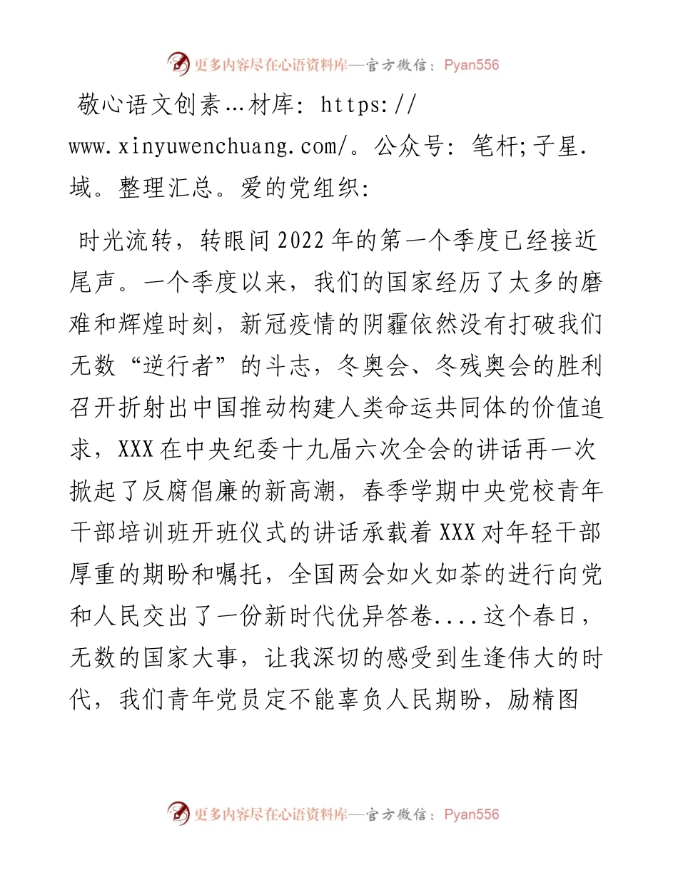 入党积极分子（党员）第一季度思想汇报.docx_第1页