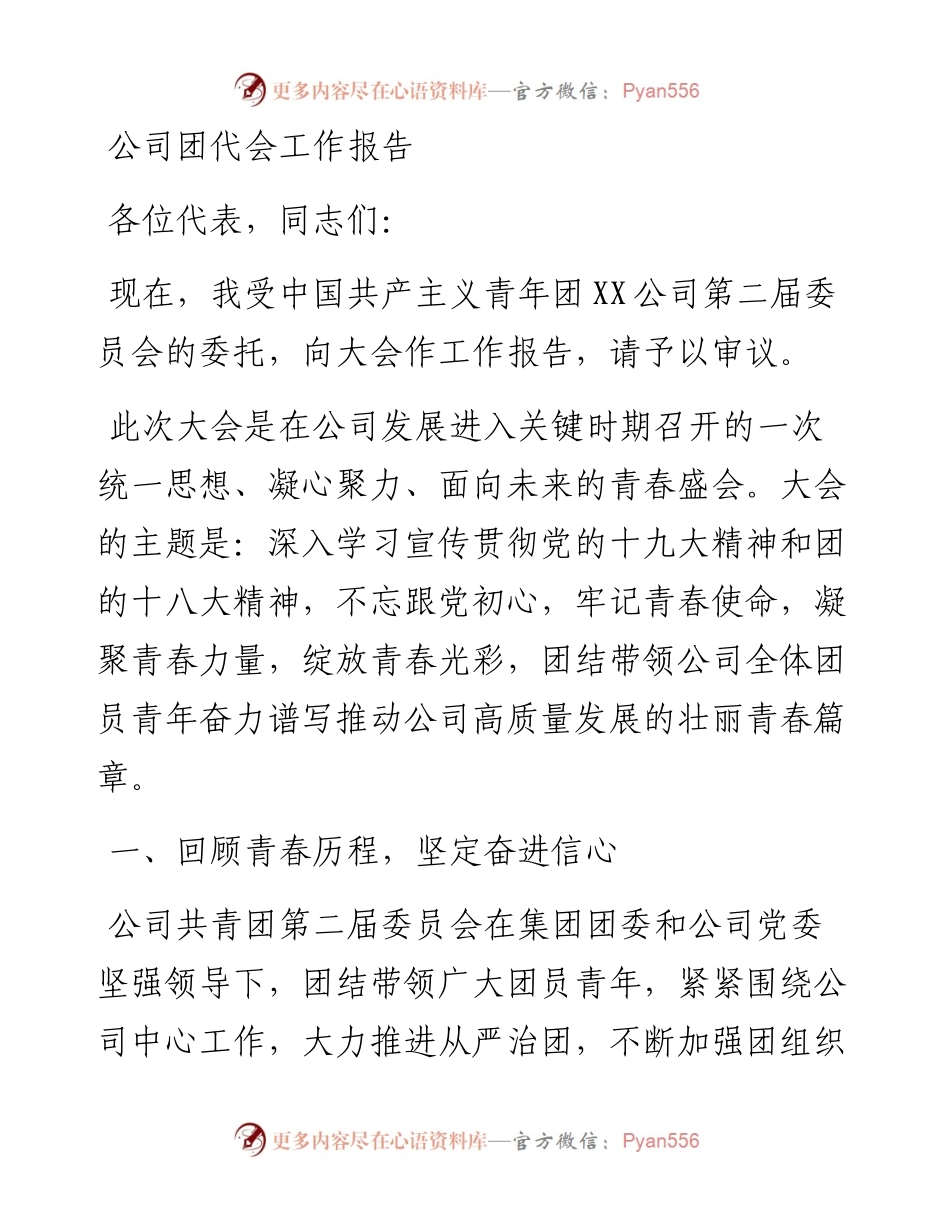 公司团代会工作报告.docx_第1页