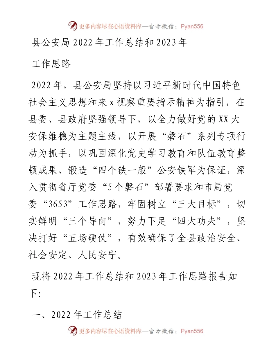县公安局工作总结和2023年工作思路.docx_第1页