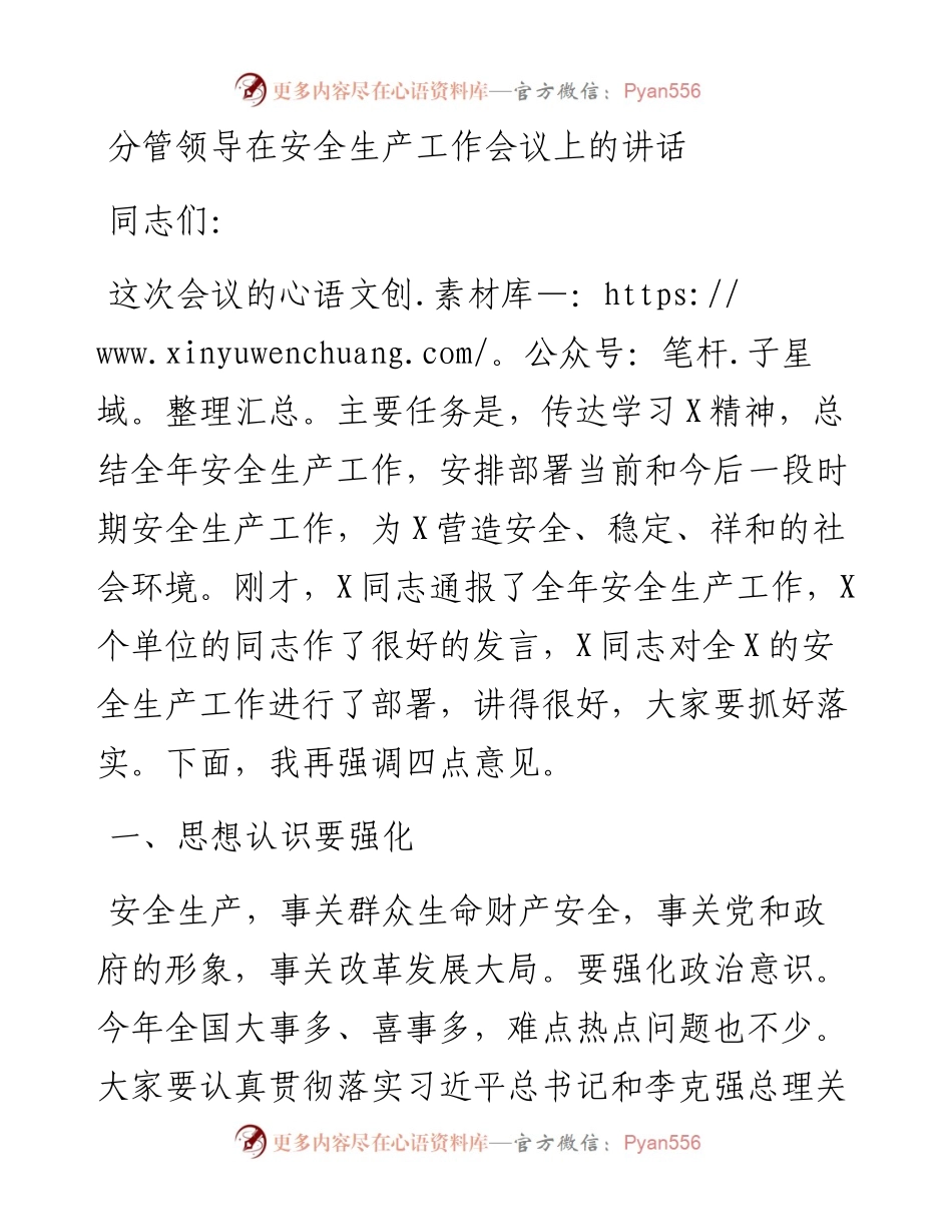 分管领导在安全生产工作会议上的讲话.docx_第1页