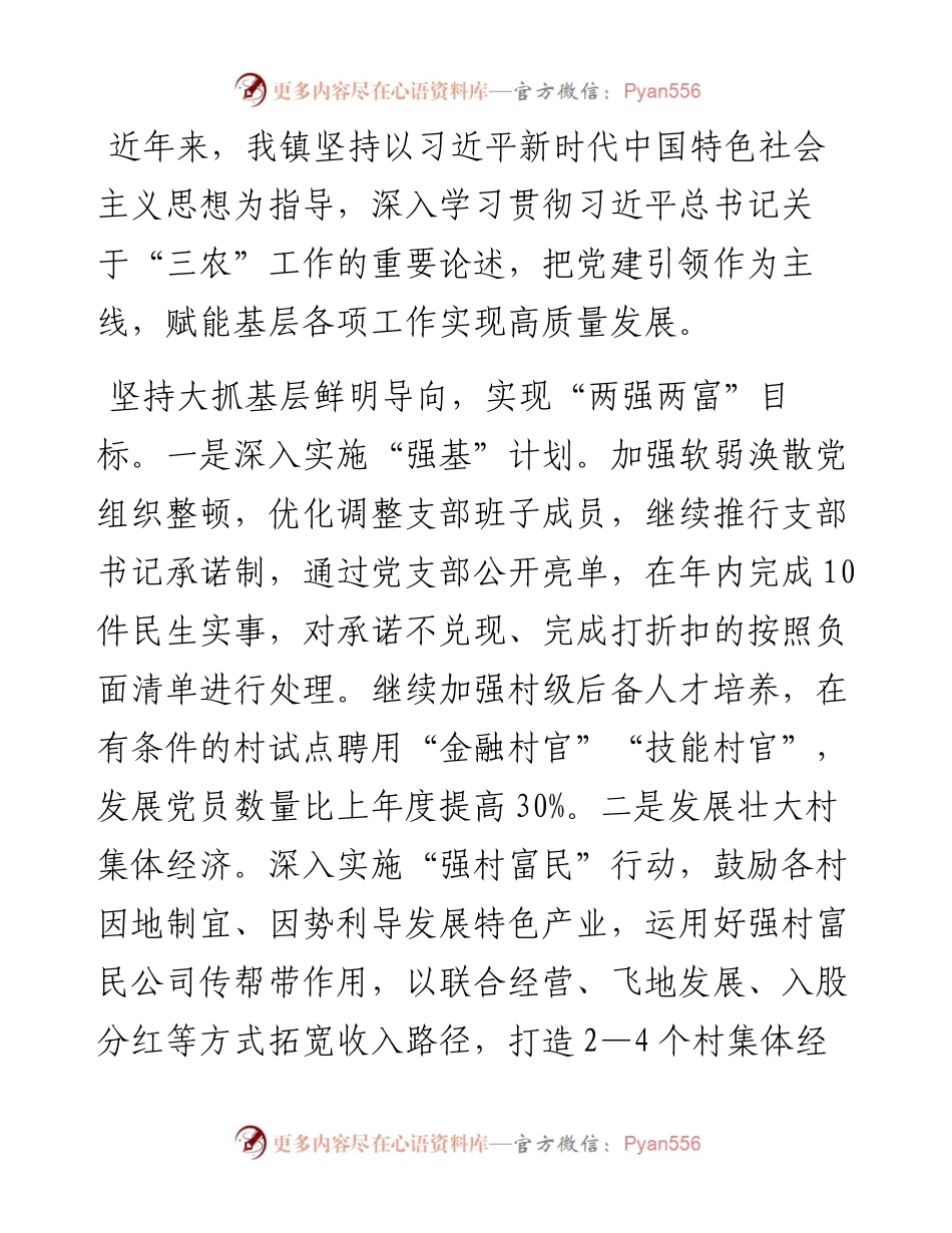 县人大常委会副主任、镇党委书记高质量党建引领保障高质量发展交流发言.docx_第1页