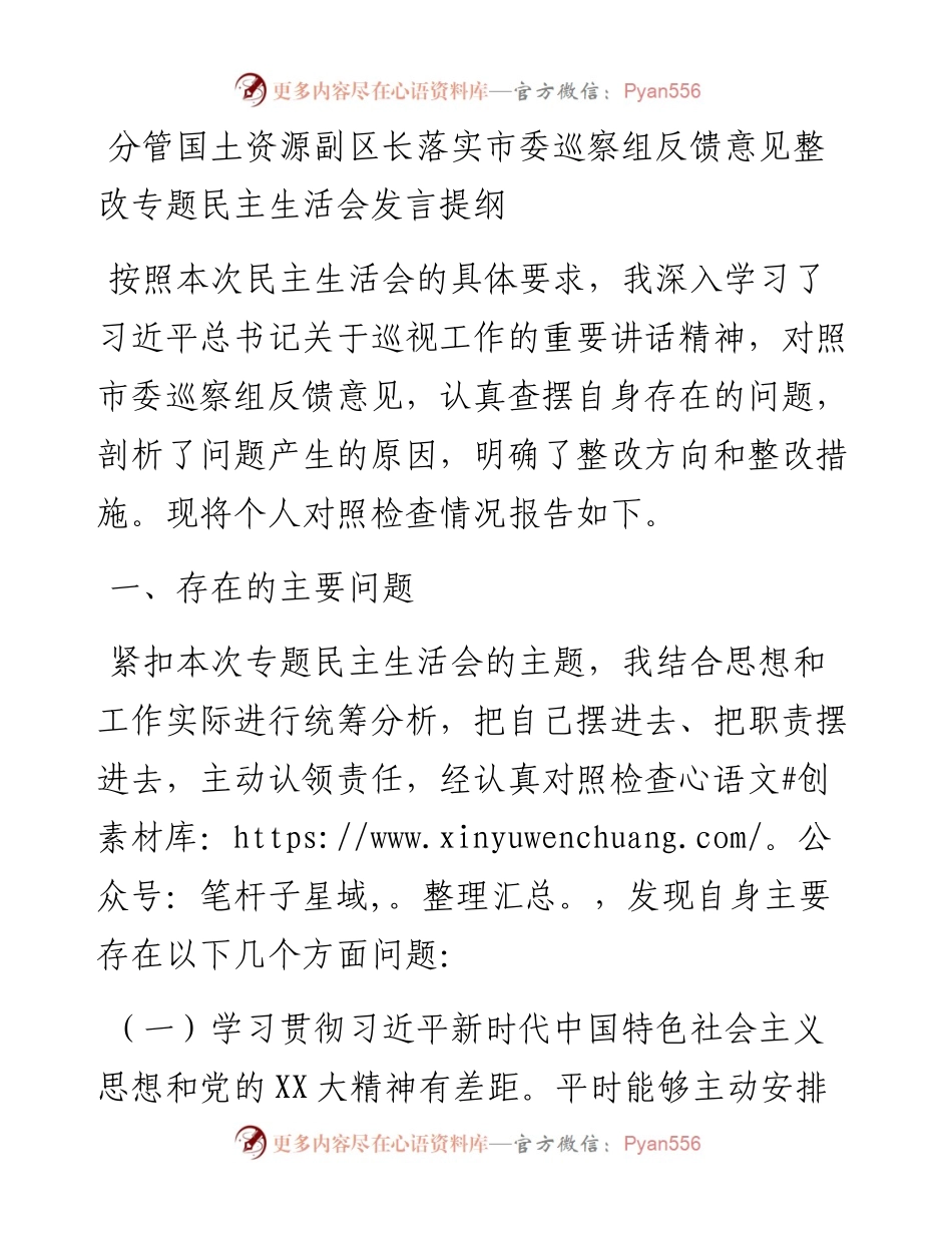 分管国土资源副区长落实市委巡察组反馈意见整改专题民主生活会发言提纲.docx_第1页