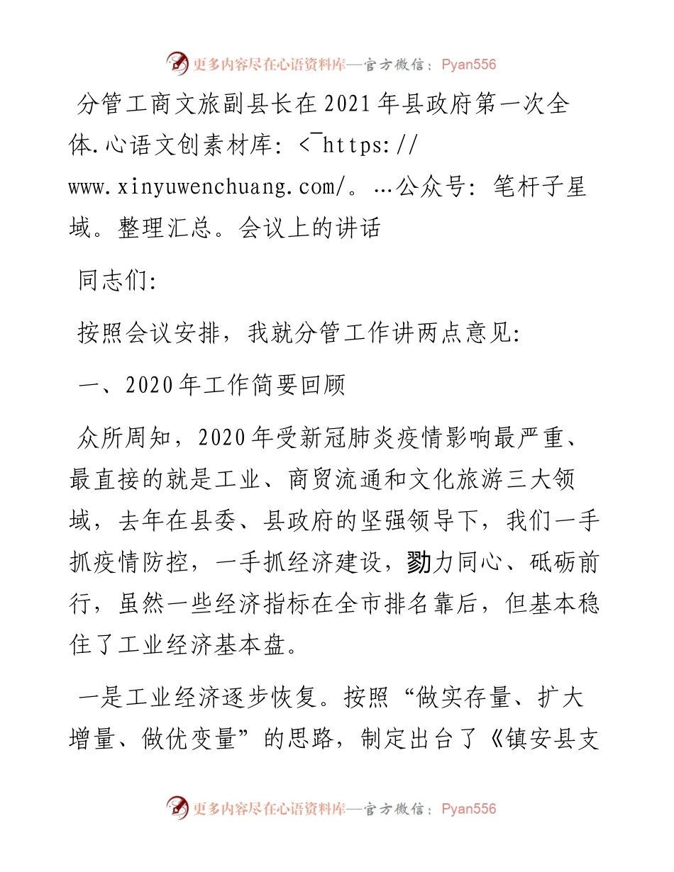 分管工商文旅副县长在县政府第一次全体会议上的讲话.docx_第1页