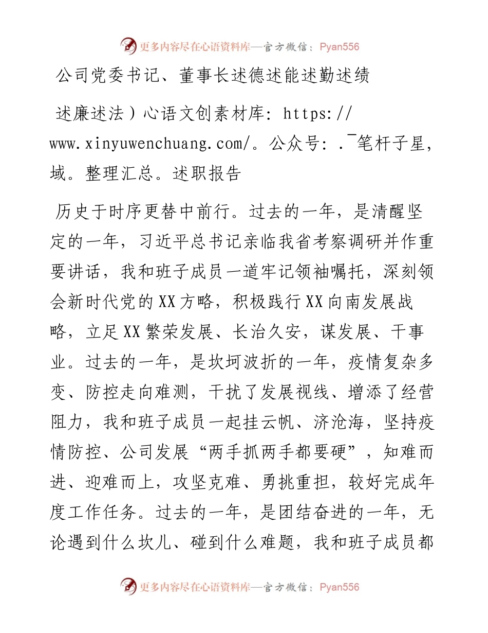 公司党委书记、董事长述德述能述勤述绩述廉述法述职报告.docx_第1页