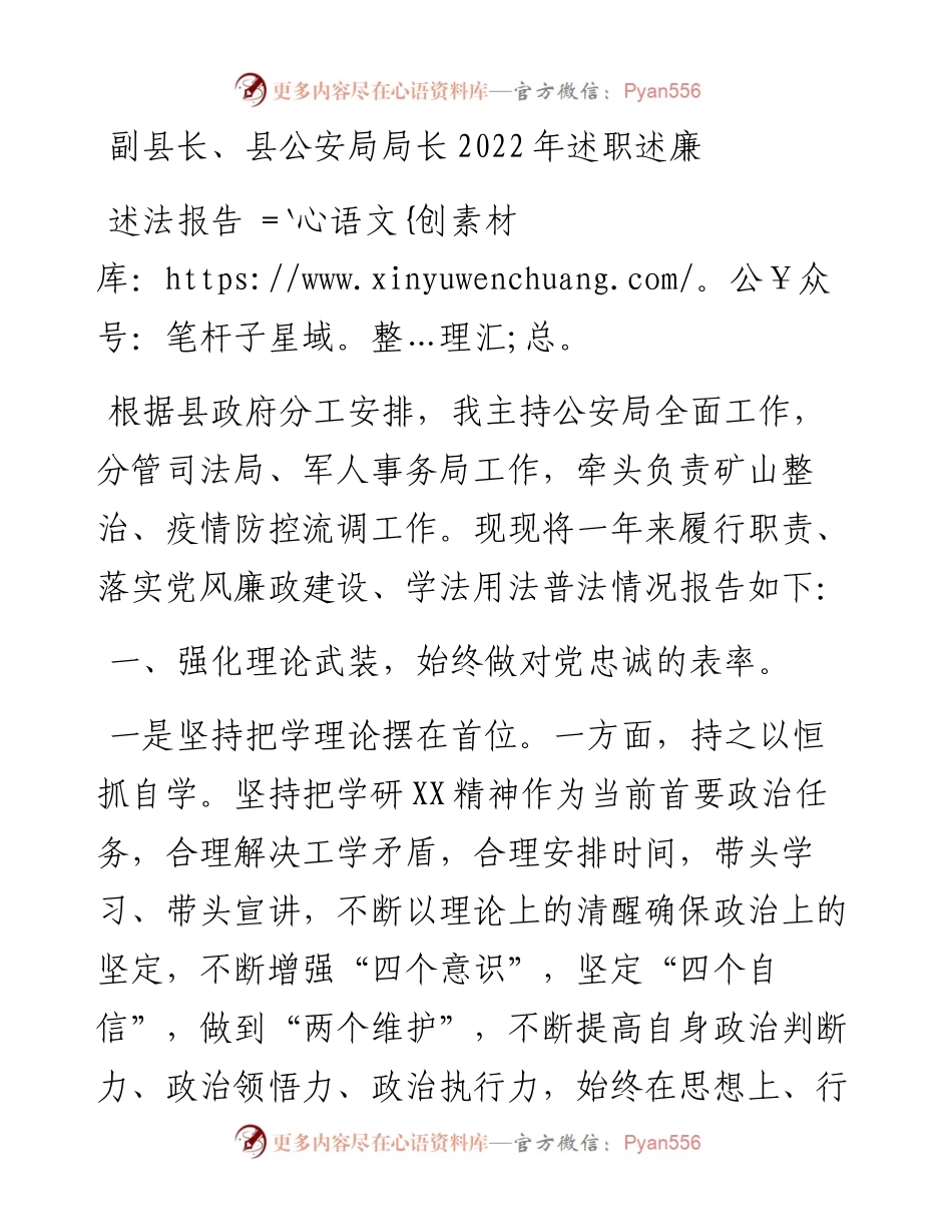 副县长、县公安局局长述职述廉述法报告.docx_第1页