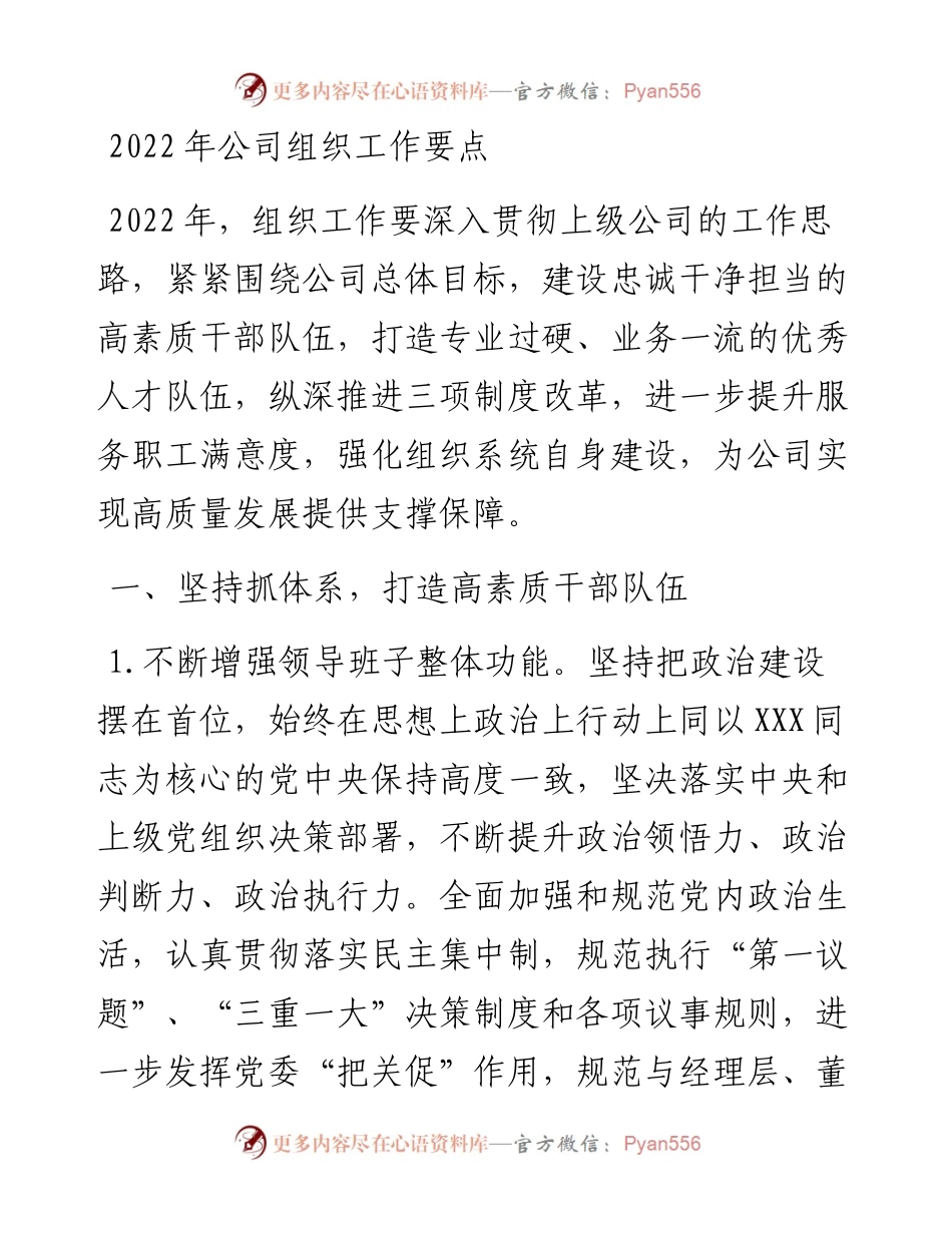 公司组织工作要点.docx_第1页