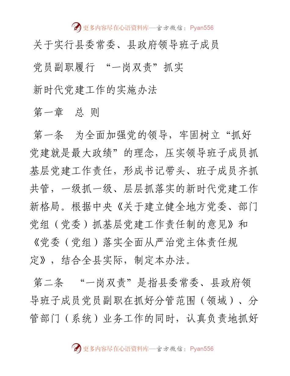 关于实行县委常委、县政府领导班子成员党员副职履行 一岗双责抓实新时代党建工作的实施办法.docx_第1页