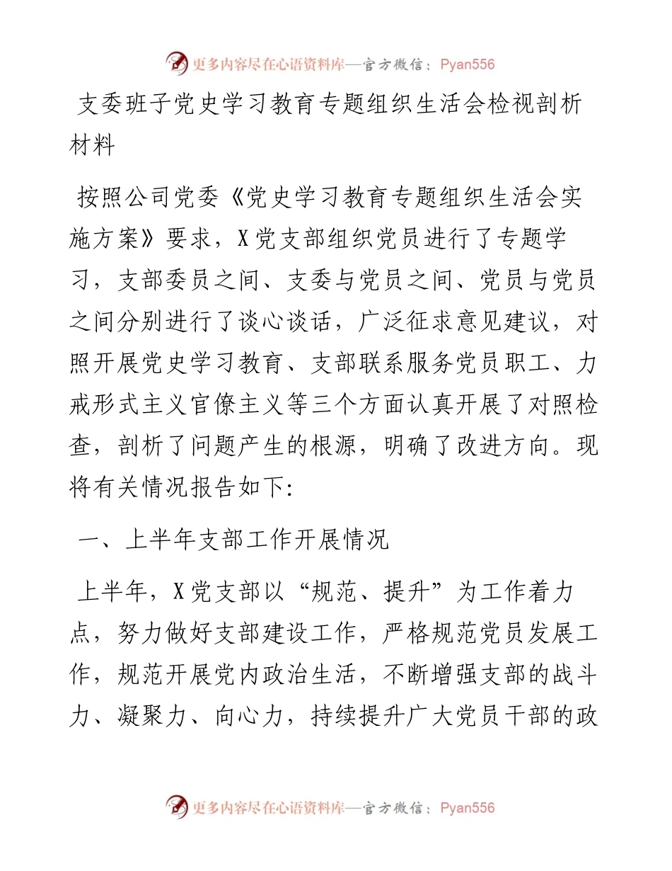 公司班子党史专题组织生活会剖析.docx_第1页