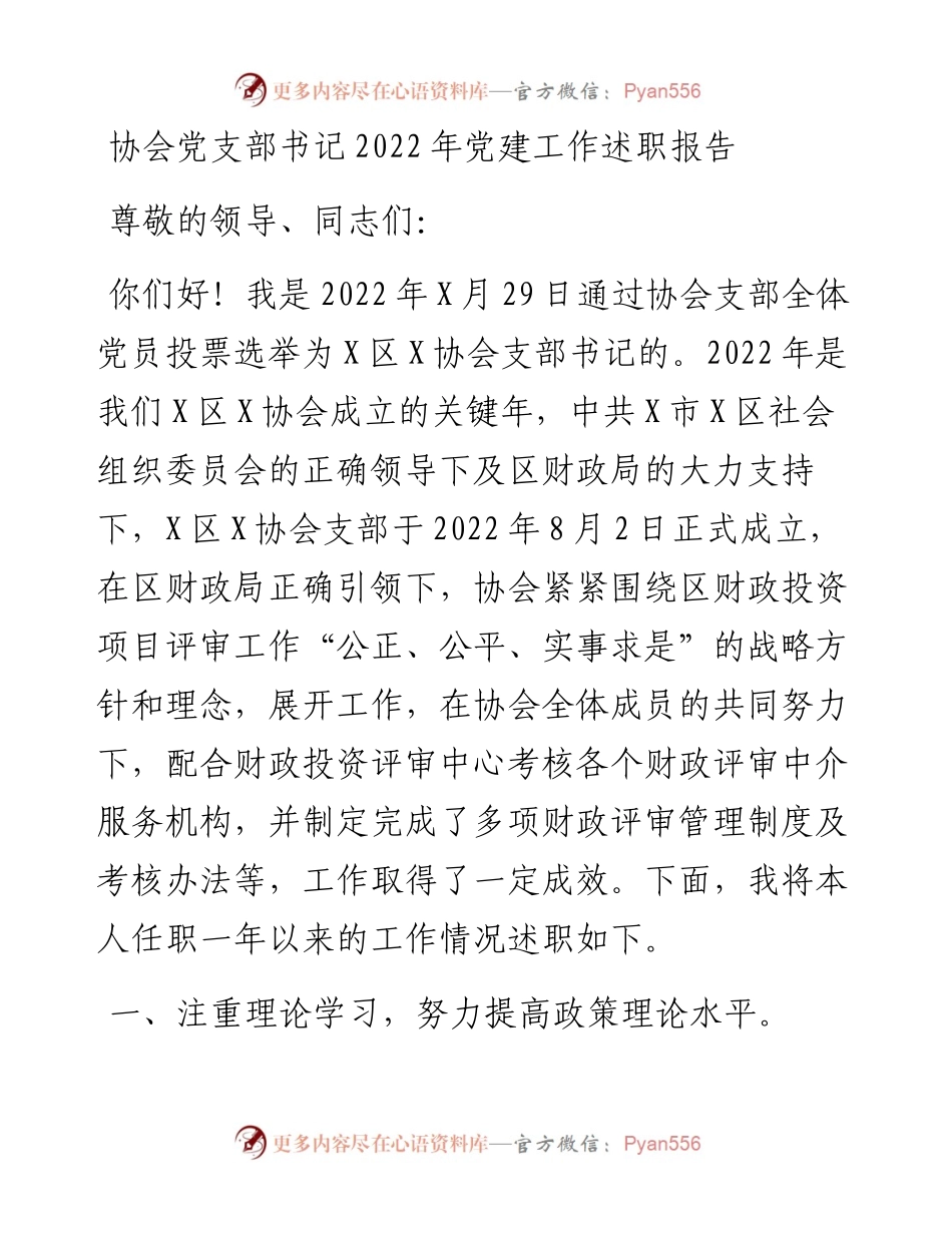 协会党支部书记党建工作述职报告.docx_第1页