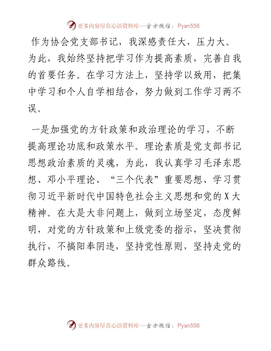 协会党支部书记党建工作述职报告.docx_第2页