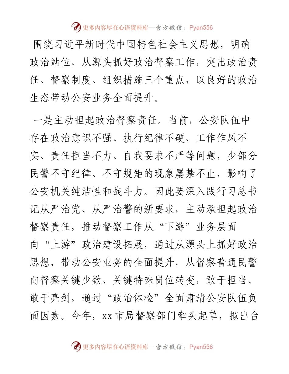 关于推动新时代公安督察高质量发展的思考和实践.docx_第2页