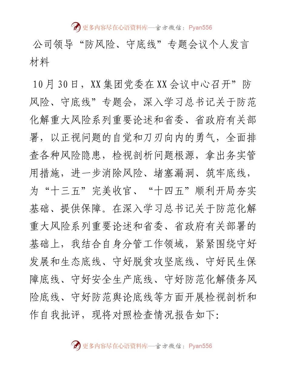 公司领导 “防风险、守底线”专题会议个人发言材料.docx_第1页