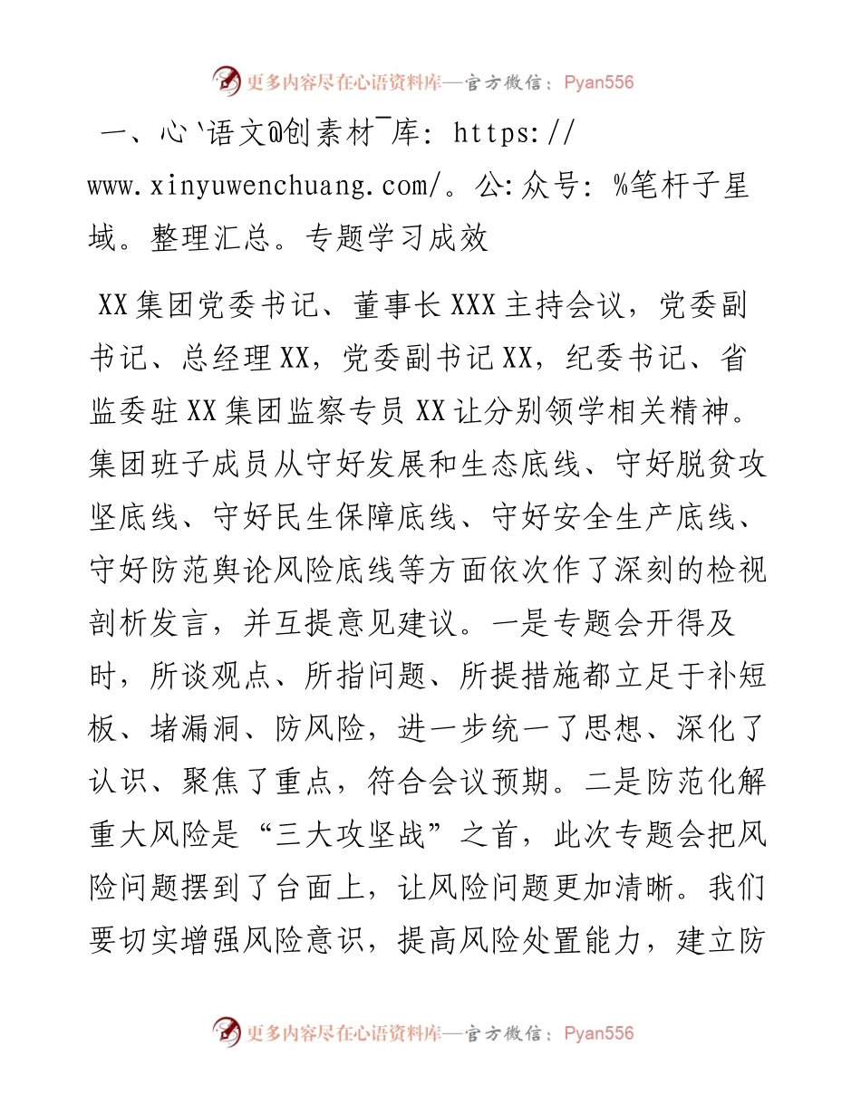 公司领导 “防风险、守底线”专题会议个人发言材料.docx_第2页