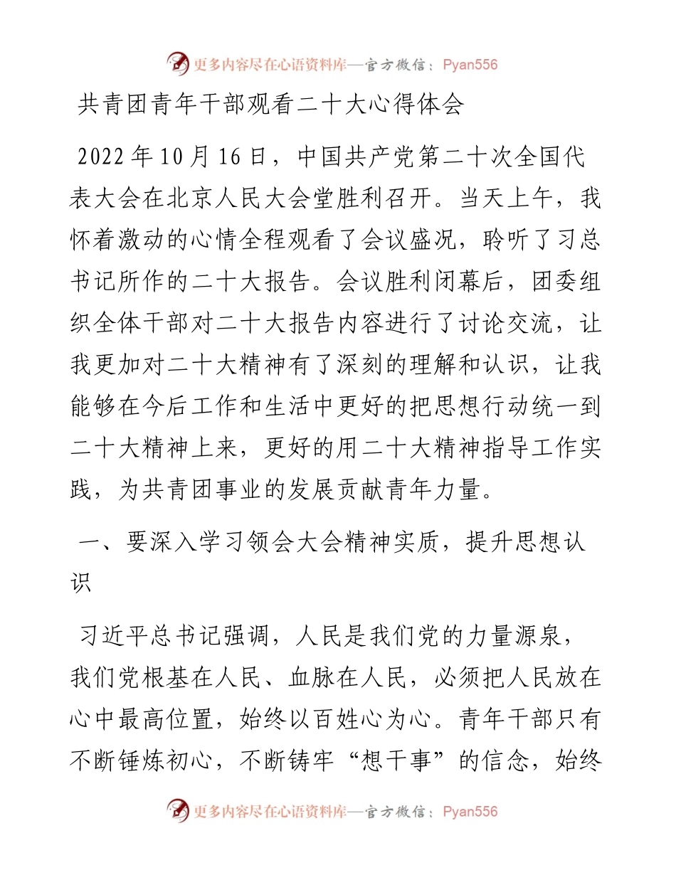 共青团青年干部观看二十大心得体会.docx_第1页