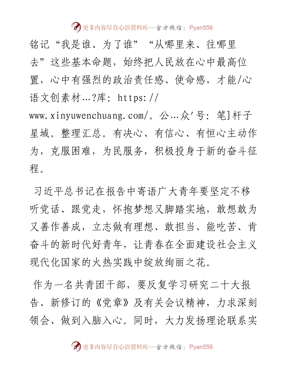 共青团青年干部观看二十大心得体会.docx_第2页